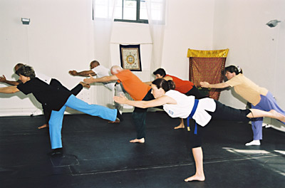 Copyright by Arno Sammer - www.mediadesignbase.com