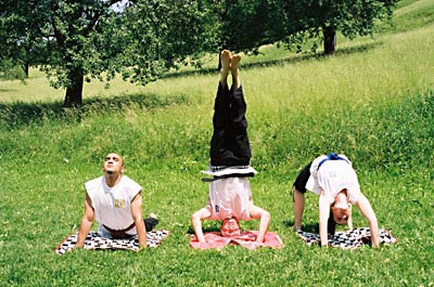 Copyright by Arno Sammer - www.mediadesignbase.com