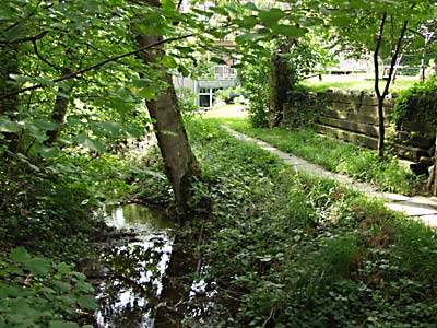 Copyright by Arno Sammer - www.mediadesignbase.com